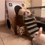 Large Modern Wooden Rabbit Castle House Hutch - Bunny Hideout Indoor Habitats - Pet 2-Story Home Furniture（Excluding Street Lights） - Image 3