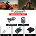 Complete Electrics Wiring Harness Relay Stator Coil CDI Solenoid Spark Plug for 4 Wheelers Stroke ATV （50cc 70cc 110cc 125cc） Pit Quad Dirt Bike Go Kart taotao by OTOHANS AUTOMOTIVE - Image 4