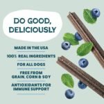 Shameless Pets Dental Treats for Dogs, The Tooth Berry - Healthy Dental Sticks with Immune Support for Teeth Cleaning & Fresh Breath - Free from Grain, Corn & Soy - Image 4