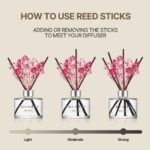 COCODOR Flower Reed Diffuser Set / 6.7oz / White Jasmine/Scent Diffuser with Sticks Home Fragrance Reed Diffuser for Bathroom Shelf Decor - Image 5