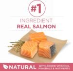 Purina ONE Natural, Sensitive Stomach Dry Dog Food, +Plus Skin & Coat Formula - 31.1 lb. Bag - Image 4