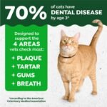Greenies Feline Veterinarian-Recommended Adult Natural Dental Cat Treats, Catnip Flavor, 9.75 oz. Tub - Image 4