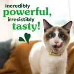 Greenies Feline Veterinarian-Recommended Adult Natural Dental Cat Treats, Catnip Flavor, 9.75 oz. Tub - Image 7