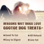 Gootoe Turkey Tendons for Dogs – All-Natural, Hypoallergenic Dog Treats, Rawhide Alternative, Long Lasting Puppy Chews, Healthy Dog Treats for Small Breeds, Strips, 3 oz Pack - Image 4