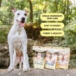 BADLANDS RANCH - Superfood Bite, Freeze-Dried Raw Dog Treats - Protein Rich, Train & Reward, Traceable Single Ingredient by Katherine Heigl (Wild Salmon) - Image 7