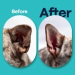 DOCO Dog Ear Cleaner Wipes Finger Cleaning Kit for Dogs & Cats Eucalyptus, Chamomile & Aloe Cat Ear Cleaner Soothes, Deodorizes & Helps Itchy Ears – 50 Count - Image 6