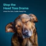 DOCO Dog Ear Cleaner Wipes Finger Cleaning Kit for Dogs & Cats Eucalyptus, Chamomile & Aloe Cat Ear Cleaner Soothes, Deodorizes & Helps Itchy Ears – 50 Count - Image 8