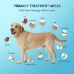Mibest Cold Laser Therapy Device for Vet - Red Light Therapy for Dogs and Cats - Infrared Light Therapy Targets Joint and Muscles - Pain Relief, Arthritis, Spinal, Wound Healing (4x808nm + 12x650nm) - Image 5