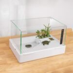 BETAZOOER Turtle Tank with Adjustable Water Pump Filter, Full View Visually Tortoise Aquarium Habitat, Glass Material Easy Changing Water&Clean for Small Amphibious Creatures Reptiles (23"×13.5"×10") - Image 2