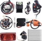 Complete Electrics Wiring Harness Stator Coil CDI Solenoid Relay Spark Plug Tail Light for 4 Wheelers Stroke ATV （150cc 200cc 250cc 300cc） Pit Dirt Bike Go Kart Zongshen Lifan by OTOHANS AUTOMOTIVE - Image 2