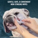 Pet MD Topical Wipes for Cleansing - with Aloe for Cats and Dogs - 50 Count - Image 3