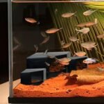 Aquarium Corner Cave Hide Axolotl Cichlid Cave Fish Tank Accessories, Corner Fish Aquarium Cave Hide with Viewing Window, Terrarium/Aquarium Underground Natural Cave - Image 3