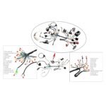 Electrics Wire Loom 2 Coil Stator CDI Wiring Harness + 2 Bolt Starter Motor for 50cc 70cc 90cc 110cc 125cc Taotao Roketa Coolster SSR Apollo ATV Buggy Go Kart 4 Wheelers Pit Dirt Bike Quad - Image 3