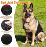 Professional Red Light Therapy Belt for Dogs - Infrared Light Therapy Device for Hip, Back, Elbow Pain Relief & Joint Care, Portable Red Light Therapy Wrap for Pets & Horses at Home - Image 4