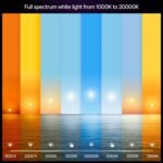 Philips Hue Smart LED A21 Bulb,White and Color Ambiance, E26 Base,13.5W, Full Spectrum Light 1000K-20000K,1600 Lumens, Dimmable, Compatible with Alexa, Google, Apple Home, 2pk - Image 4