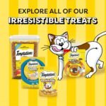 Temptations Lickable Spoons Adult Wet Cat Treat, 24 Spoons, Variety Pack - Image 9