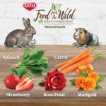 Kaytee Food from The Wild Natural Snack for Pet Rabbits, Guinea Pigs And Other Small Animals, 1 Ounce - Image 3