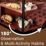 Hermit Crab Cave Habitat with Climbing Tunnel, Hermit Crab Tank Accessories & Climbing Toys, Habitat Decor for Pet Crab (for Crabs up to 2.4in Tall) - Image 5