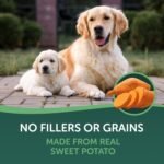 Healthfuls Sweet Potato Slices Healthy Dog Treats – Limited Ingredient, Grain Free, Made from Real Dried Sweet Potatoes, 16 oz - Image 5