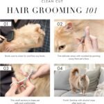 Tweezerman Pet Grooming Scissors, Stainless Steel Rounded Tip Trimming Shears for Dogs and Cats - Image 5