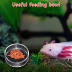Axolotl Hide with Fish Feeding Dish Set, Axolotl Hideout for Aquariums, Bowl and Aquarium Hides for Axolotls Reptile Tortoise Fish, Hides for Tank, Turtle Tanks Decorations (Rock, M) - Image 6