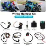 Complete Electrics Wiring Harness Kit, Coil Stator Solenoid Relay CDI Spark Plug for 4 Wheelers Stroke ATV 50cc 70cc 90cc 110cc 125cc Go Kart Pit Quad Dirt Buggy Bike Parts - Image 3