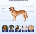 Red Light Therapy Device for Pets/Human, Infrared Light Therapy for Joints & Muscles Pain Relief, Handheld Cold Laser Therapy Device for Face and Body, with 2 Wavelenghth (808nm+650nm) - Image 3