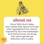 Burt's Bees for Pets Waterless Cat Shampoo for Cats with Shea Butter and Honey - A No Rinse Dry Kitten Shampoo, Gentle Cat Grooming Supplies for Pet Cleaning, Kittens & Indoor Cats, 10 Fl Oz - Image 6