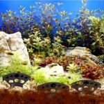 WQHLONGBO 3 Pcs Shrimp Cave Aquarium Decor,Shrimp Tunnel, Fish Tank Hideout, Fish Cave for Aquarium Shrimp Cave Fish Tunnel Shrimp Hides for Aquarium Fish Tank Accessories Decor(Black) - Image 3