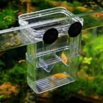 Petzilla in-Tank Aquarium Breeder Box for Fish Tank, Breeding Incubator for Small Fish Hatchery, Acrylic Divider for Shrimp Clownfish Aggressive Injured Fish (Small) - Image 7