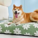 LE SURE Dog Beds Large Sized-Thick Shredded Chopped Foam Pet Bed Indoor as Bed Gift with Removable Cover, Cute Modern Fuzzy Plush & Anti Slip Bottom, Green - Image 6