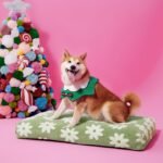 LE SURE Dog Beds Large Sized-Thick Shredded Chopped Foam Pet Bed Indoor as Bed Gift with Removable Cover, Cute Modern Fuzzy Plush & Anti Slip Bottom, Green - Image 7
