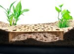 Shrimp Breeding Protector | Shrimp Breeding Cave Aquarium Tunnel | CTWPets (Light Brown) - Image 3