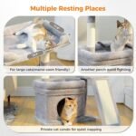 PEQULTI Small Cat Tree Tower for Large Adult Cats with Wide Top Perch, Private Cat Condo and Sisal Scratching Post&Pad for Indoor Cats, Gray - Image 3