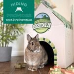 Oxbow Timothy Hay Tunnel, Guinea Pig Hideout, Rabbit & Bunny Tunnel, Edible & Hand-Woven Guinea Pig House, No Wires or String, Small Pet Accessories, for Rabbits, Chinchillas & Rats - Image 6