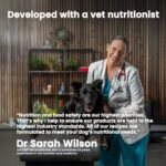 The Pets Table Beef & Berries Grain-Free Air Dried Dog Food, 1 lb (16 Oz) Bag - Image 5