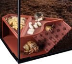 Hermit Crab Cave Habitat with Climbing Tunnel, Hermit Crab Tank Accessories & Climbing Toys, Habitat Decor for Pet Crab (for Crabs up to 2.4in Tall) - Image 2