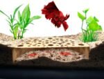 Shrimp Breeding Protector | Shrimp Breeding Cave Aquarium Tunnel | CTWPets (Light Brown) - Image 2