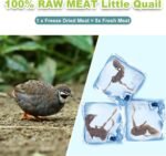 Freeze-Dried Quail Cats & Dogs Treats - Single Ingredient Pet Snacks, High-Protein Training Rewards, Grain-Free, Easy Digestion (3oz) - Image 3