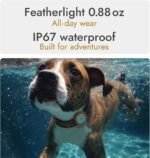 Molly&Cody GPS + Bluetooth Pet Tracker for Cats & Dogs – Real‑Time Tracking, Virtual Fence, IP67 Waterproof, Up to 60‑Day Battery, Health Monitoring, iOS/Android – Subscription Required (White) - Image 9