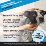 Pet Honesty Chlorhexidine Cat & Dog Seasonal Itch Relief Shampoo, for Allergies, Itching, Skin and Coat Supplement, Helps Shedding, Hot Spots, Deodorizing Dog Shampoo & Grooming Supplies,16oz - Image 3
