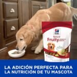 Hill's Natural Fruity Crunchy Snacks, All Life Stages, Great Taste, Dog Treats, Apples & Oatmeal, 8 oz Bag - Image 3