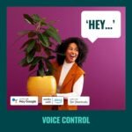 WiZ Clear 40W BA11 Tunable White Filament LED Smart Candle-Shaped Bulb - Pack of 1 - E12- Indoor - Connects to Your Existing Wi-Fi - Control with Voice or App - Matter Compatible - Image 8