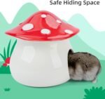 Niteangel Ceramic Hamster Habitat Hideout: - Hideaway House for Syrian Dwarf Hamster Mice Gerbils Lemmings or Other Similar-Sized Small Pet (Mushroom-Shaped) - Image 3