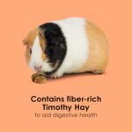 Kaytee Super C Bites Treat For Pet Guinea Pigs, Adult Rabbits, Chinchillas, and Other Small Animals, Cranberry and Orange, 4 oz - Image 4