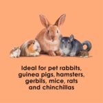 Kaytee Super C Bites Treat For Pet Guinea Pigs, Adult Rabbits, Chinchillas, and Other Small Animals, Cranberry and Orange, 4 oz - Image 6