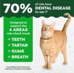 Greenies Cat Treats, Veterinarian-Recommended Adult Natural Dental Cat Treats, Tempting Tuna Flavor, 9.75 oz. Tub - Image 3