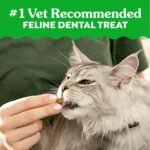 Greenies Cat Treats, Veterinarian-Recommended Adult Natural Dental Cat Treats, Tempting Tuna Flavor, 9.75 oz. Tub - Image 4