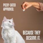 Whole Life Cat Just One Turkey Freeze Dried Cat Treats - Human Grade High Protein Food, Healthy Training Snacks, Freeze Dried Turkey Food Toppers, USA Made Natural Treats - 2.5 oz (Pack of 1) - Image 7