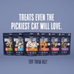 Whole Life Cat Just One Turkey Freeze Dried Cat Treats - Human Grade High Protein Food, Healthy Training Snacks, Freeze Dried Turkey Food Toppers, USA Made Natural Treats - 2.5 oz (Pack of 1) - Image 8